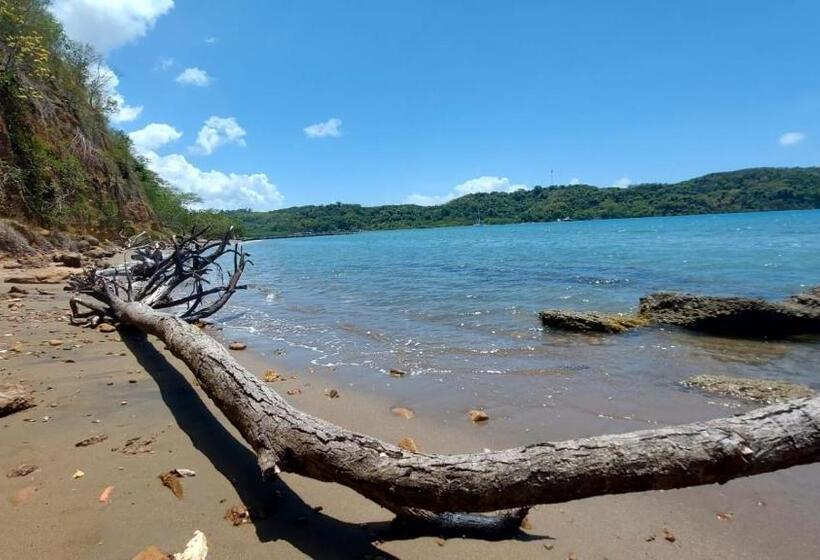 پانسیون Holiday Rooms In St Thomas Jamaica