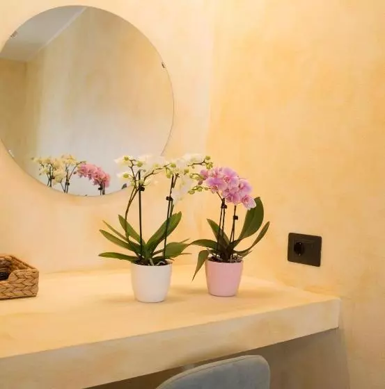 ホテル Albergo Ristorante Da Elia