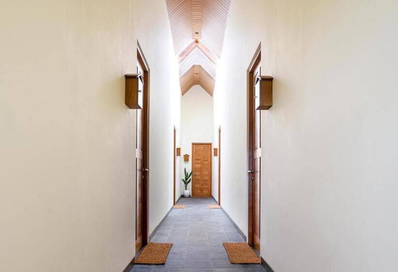 Отель The Vinaya Boutique