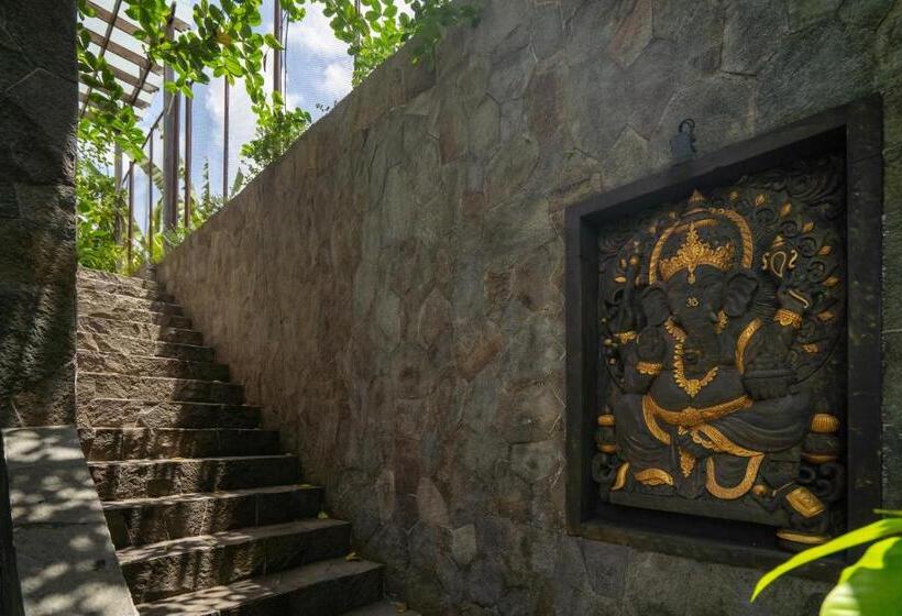 Отель The Vinaya Boutique