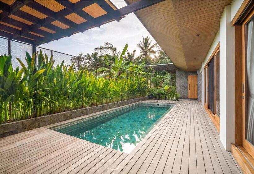 Отель The Vinaya Boutique