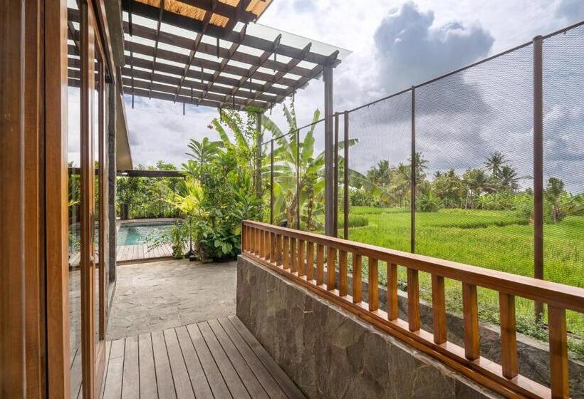 Отель The Vinaya Boutique