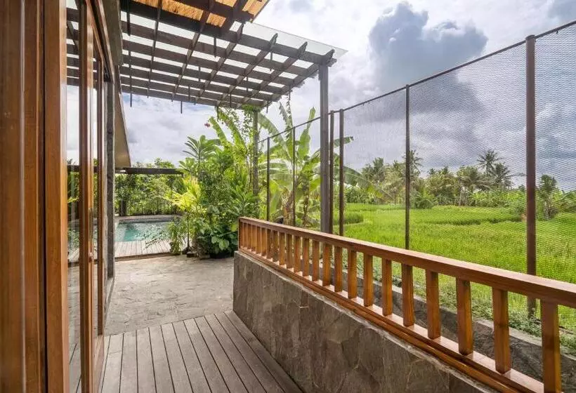 Hotelli The Vinaya Boutique