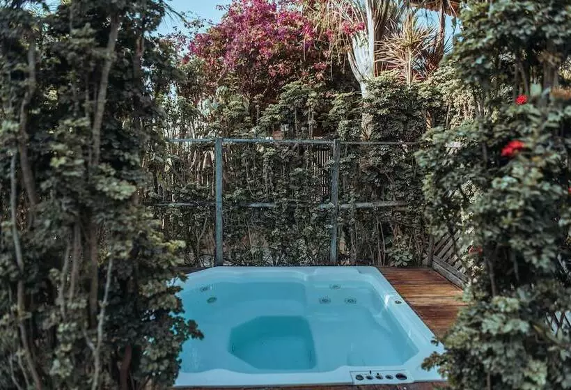 Retkeilymaja Pousada Fortal Jeri