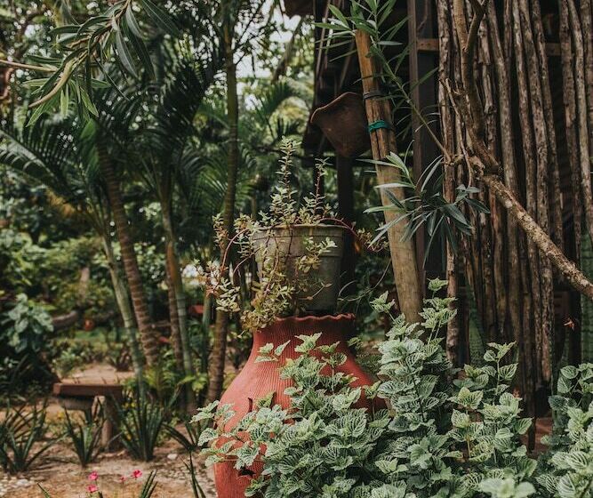 Общежитие Pousada Fortal Jeri