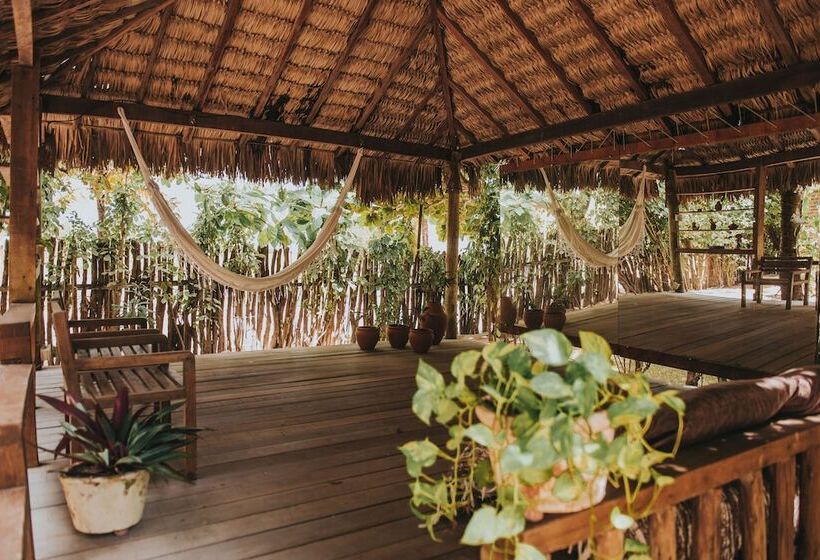 Общежитие Pousada Fortal Jeri