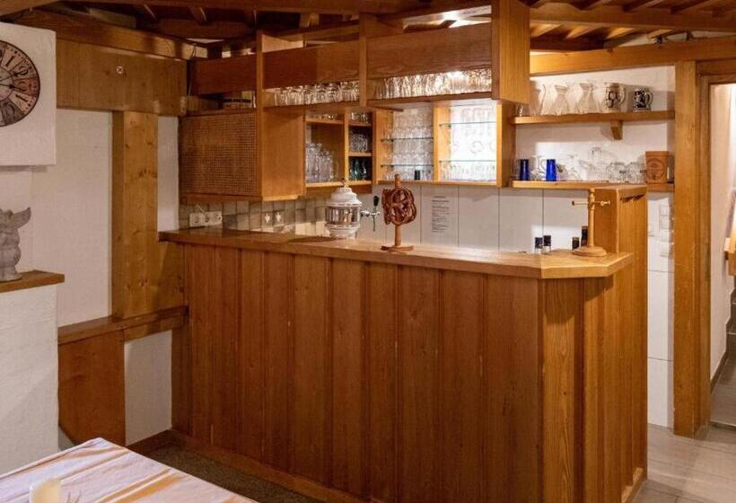 Bed and Breakfast Alpinechalet Zigjam