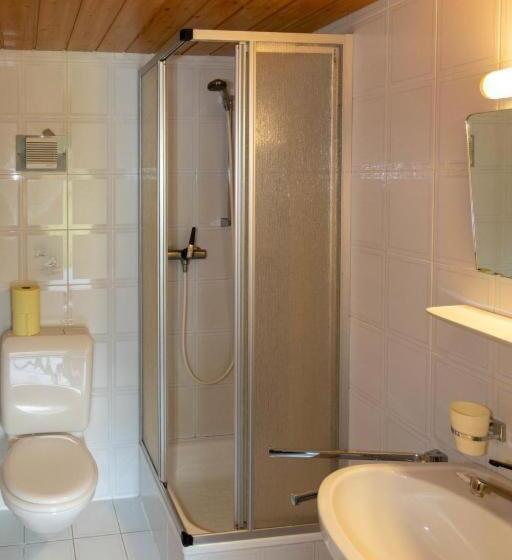 Bed and Breakfast Alpinechalet Zigjam