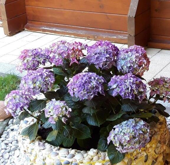 住宿加早餐 Casa Picca & Lotta