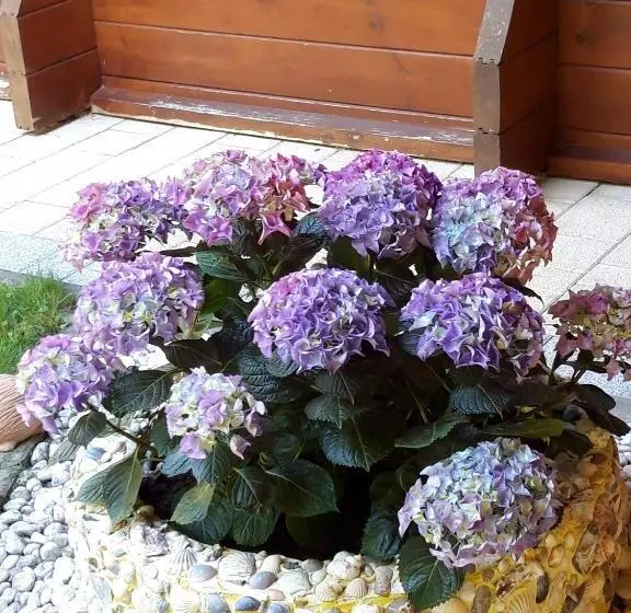 Aamiaismajoitus (B&B) Casa Picca & Lotta