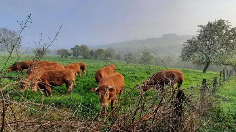 Aamiaismajoitus (B&B) La Petite Taupe   Chambres D Hôtes