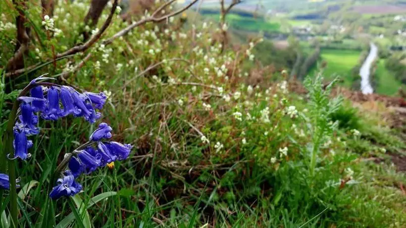 Aamiaismajoitus (B&B) La Petite Taupe   Chambres D Hôtes