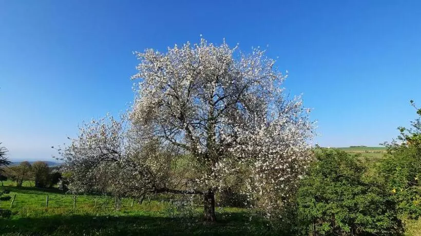 Aamiaismajoitus (B&B) La Petite Taupe   Chambres D Hôtes