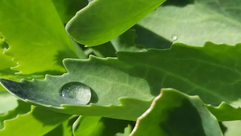 Aamiaismajoitus (B&B) La Petite Taupe   Chambres D Hôtes