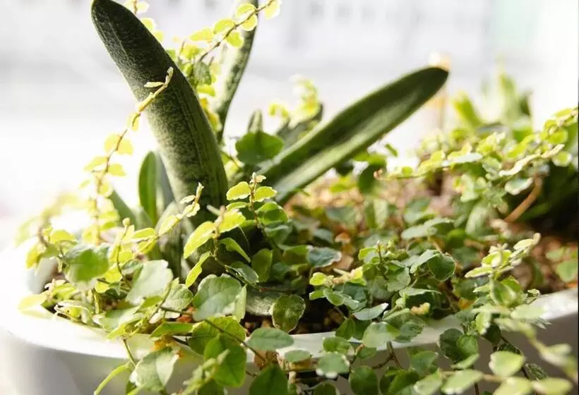 ホテル L Havsporten