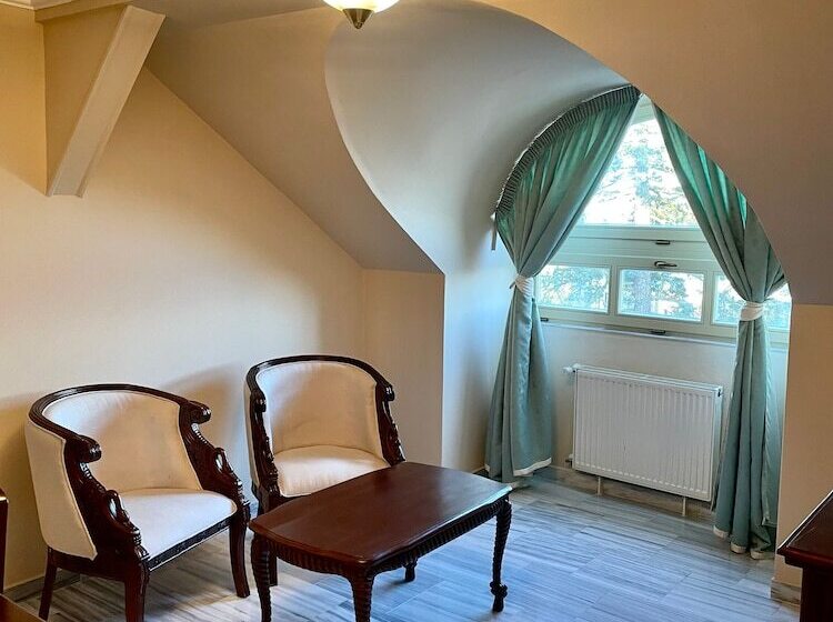 בית מלון כפרי Palace Inn