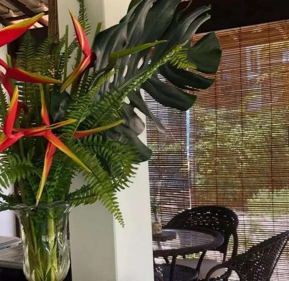 ペンション Conchas E Corais Suítes