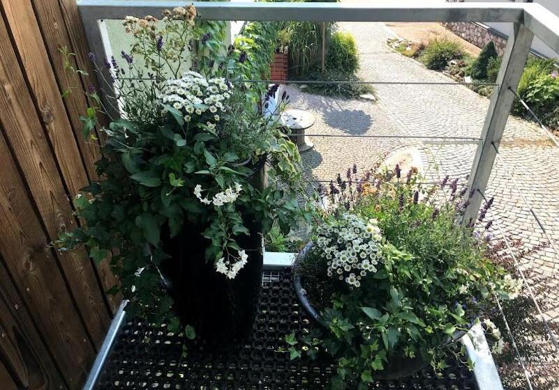 膳宿费 Dům Alois Penzion Pro Děti A Jejich Rodiče