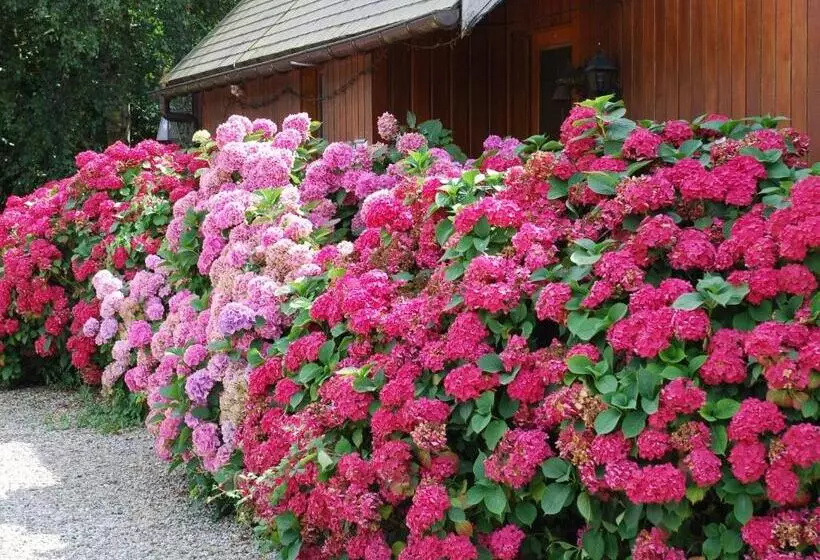 Aamiaismajoitus (B&B) Chambres D Hôtes De Creulet
