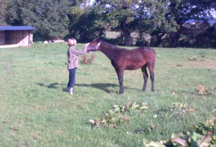 צימר La Baronnie