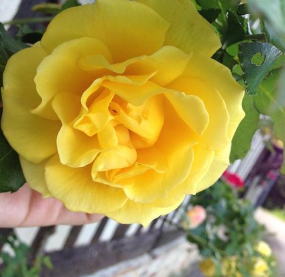 צימר La Baronnie