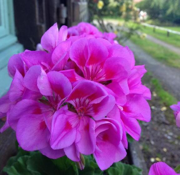 צימר La Baronnie