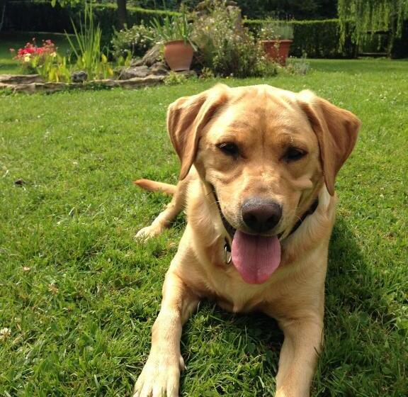 צימר La Baronnie