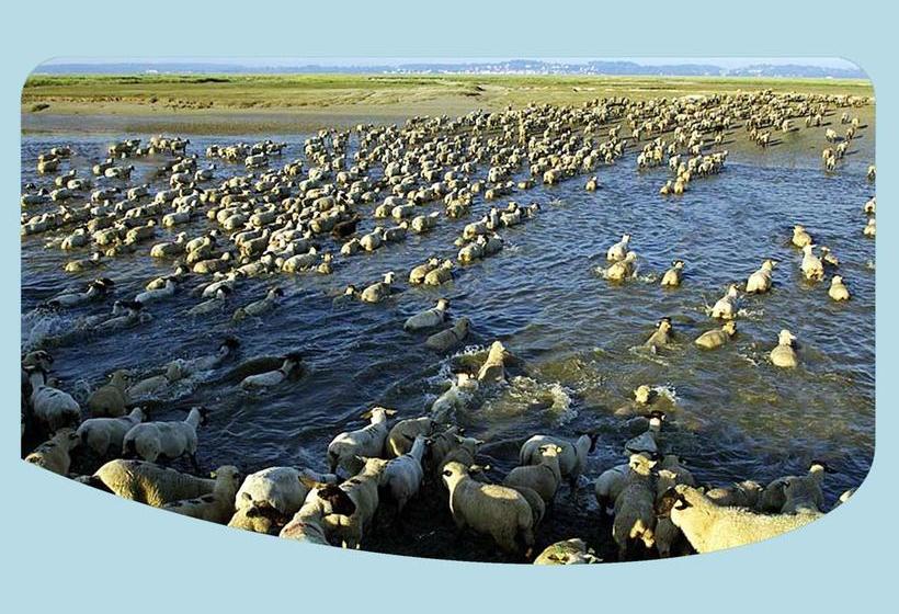 צימר La Ferme Du Parc