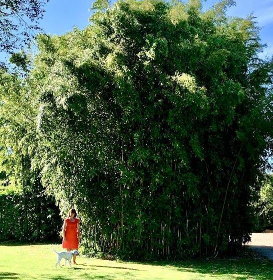 مبيت وإفطار La Longère