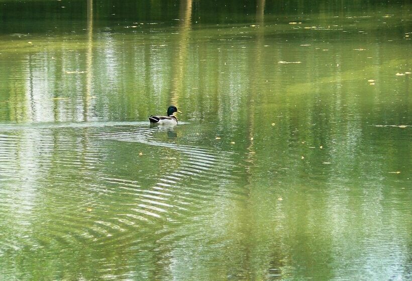 Bed and Breakfast La Maison De L Etang