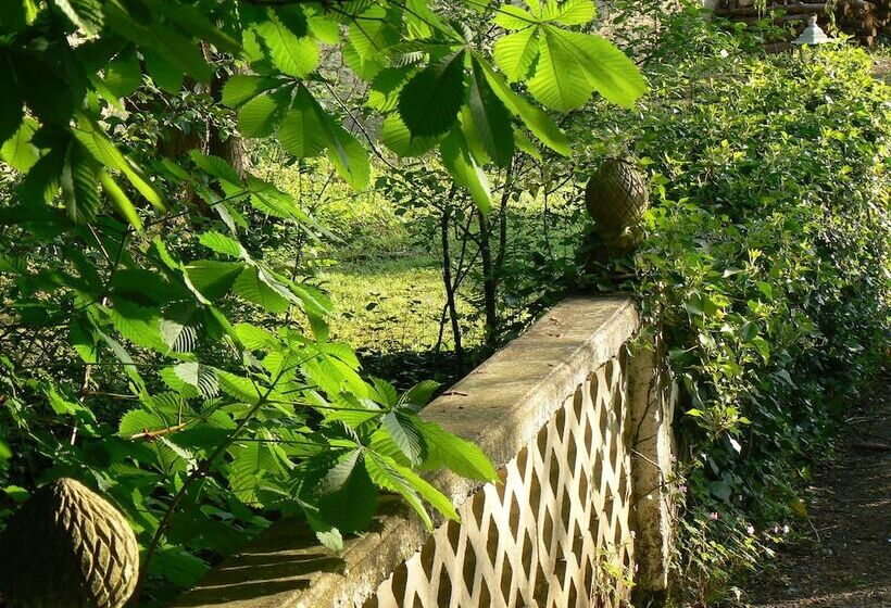 Bed and Breakfast La Maison De L Etang