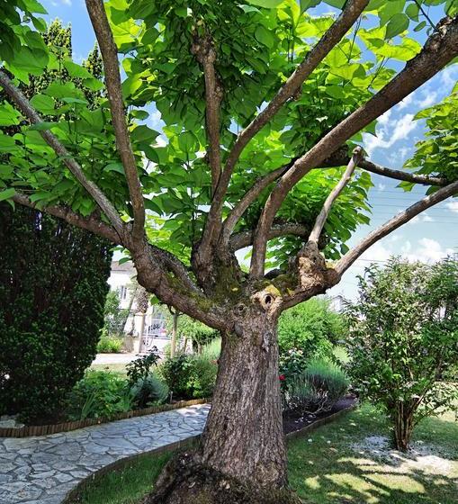 צימר Maison D Hôtes La Villa Corisande