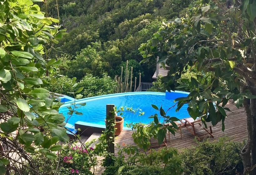 Bed and Breakfast Sweet Dream By Antigua Chiama Italia