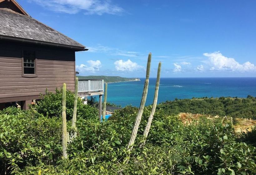 Bed and Breakfast Sweet Dream By Antigua Chiama Italia