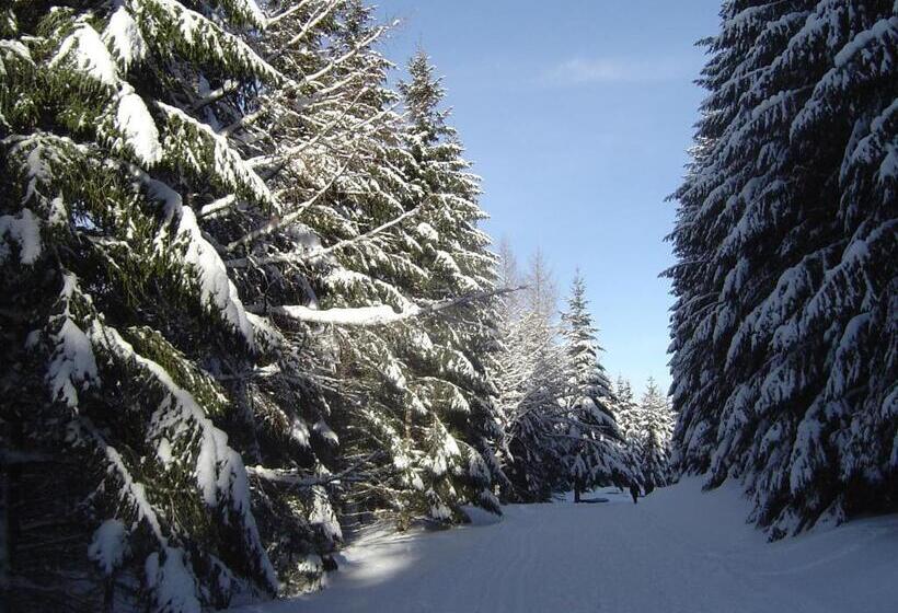 Ferienhotel Schwarzwälder Hof