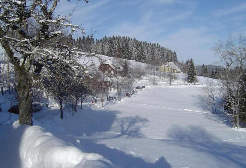 Ferienhotel Schwarzwälder Hof
