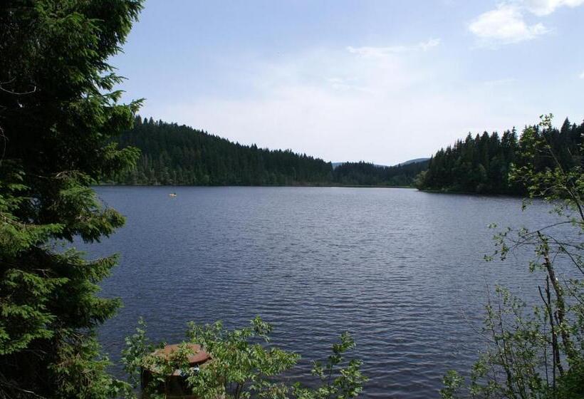 Ferienhotel Schwarzwälder Hof