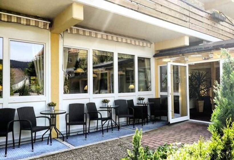 Ferienhotel Schwarzwälder Hof