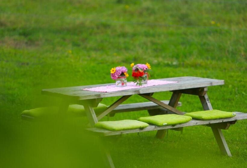 Heidehof Pension B & B