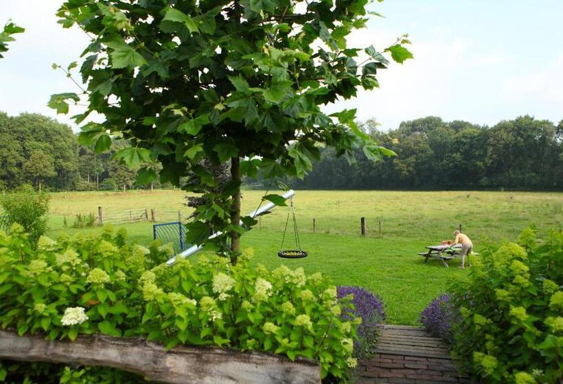 Heidehof Pension B & B