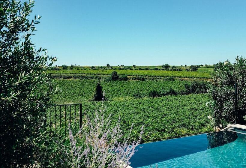 בית מלון כפרי Château St Pierre De Serjac