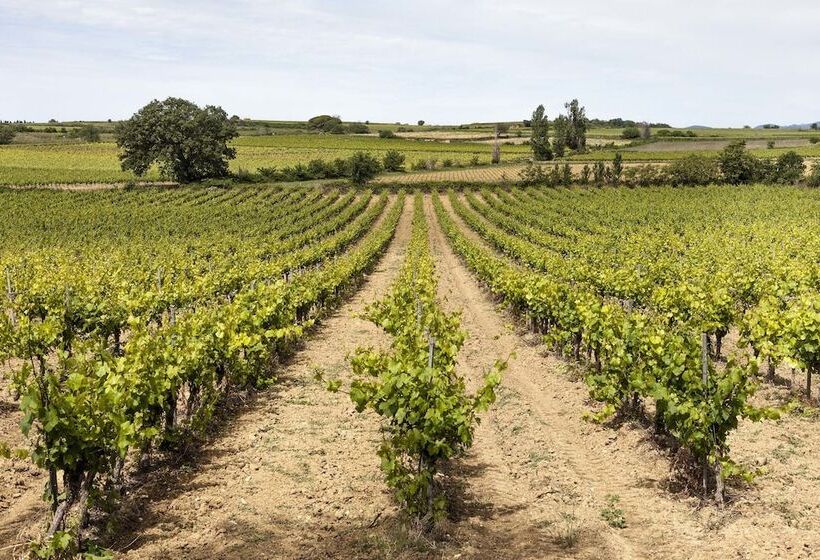 בית מלון כפרי Château St Pierre De Serjac