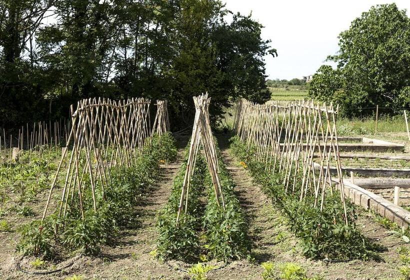 בית מלון כפרי Château St Pierre De Serjac