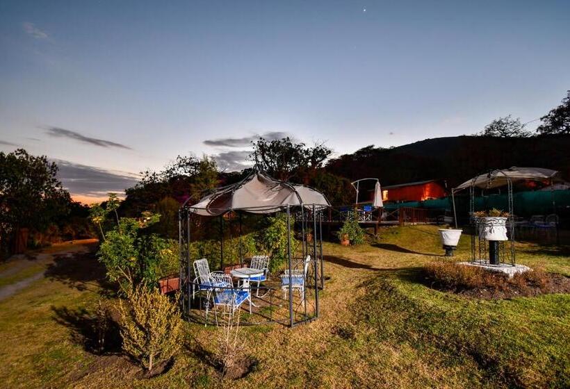 فندق Hostal El Cerrito San Lorenzo