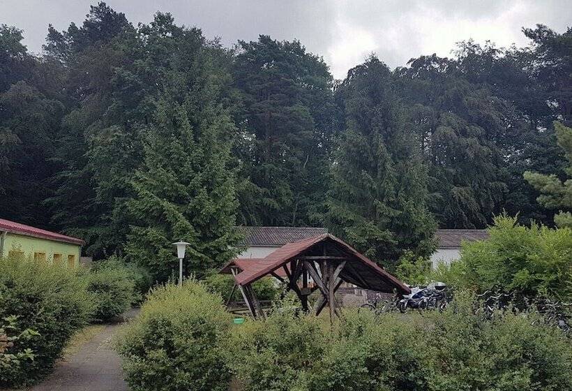 فندق Pension Stechlinsee