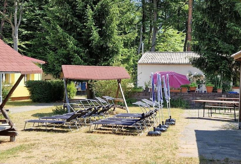 فندق Pension Stechlinsee