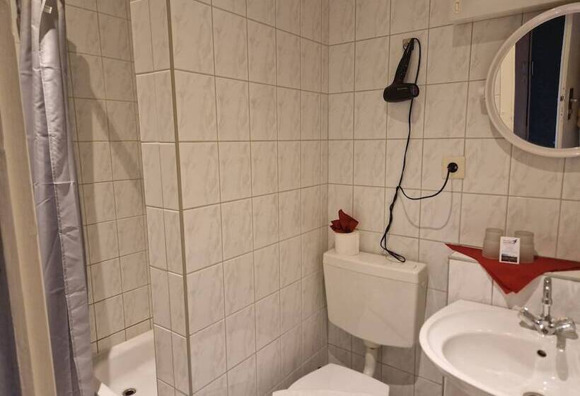 فندق Pension Stechlinsee