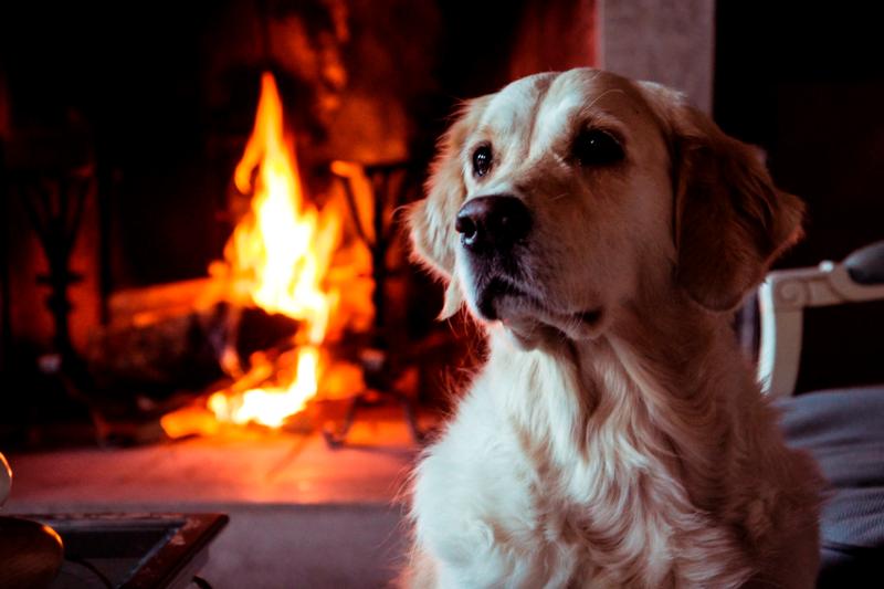 Отель Tenuta La Cascinetta