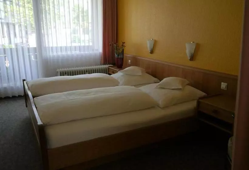 Hotelli Schwan