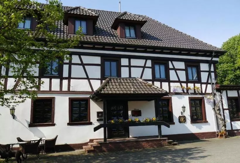 Hotelli Schwan